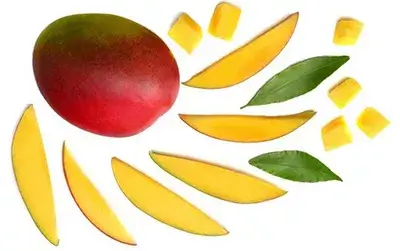 ‘exotische’ mango hondenshampoo en conditioner