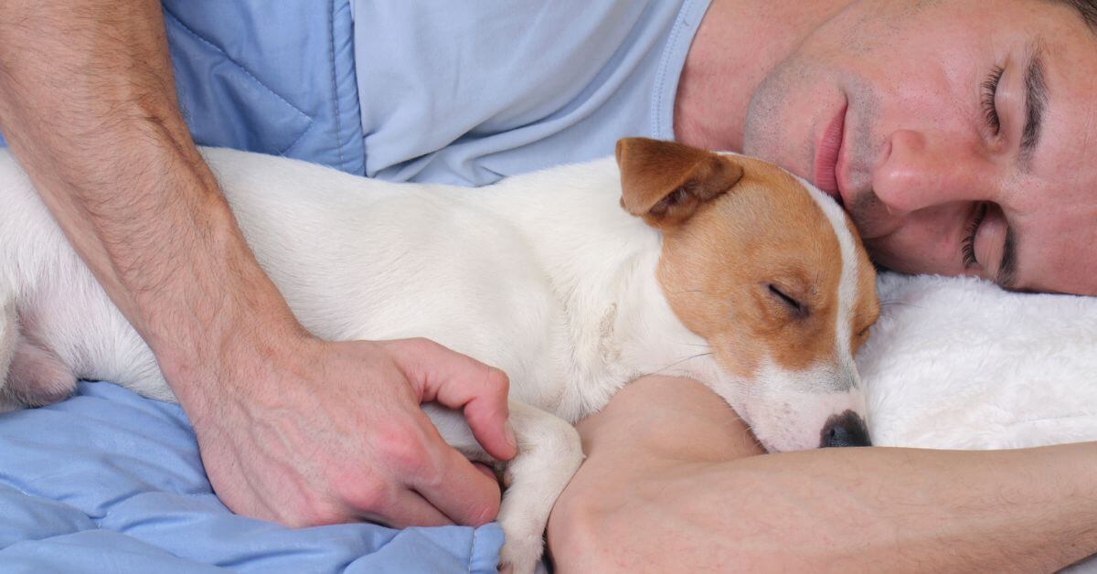 Man en hond slapen samen, uitbeeldend de vriendschap en vertrouwen